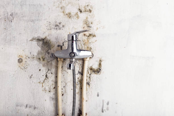 Reliable Mccom, MS Mold Remediation Solutions