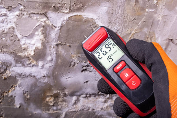 Best Emergency Mold Remediation in Mccom, MS